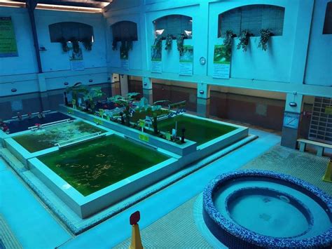 white house spa qc|THE 10 BEST Quezon City Spas & Saunas (Updated 2024).
